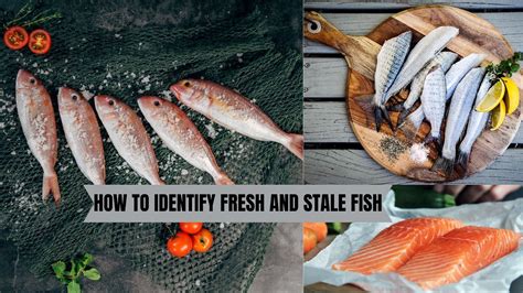 How to Identify Fresh and Stale Fish .